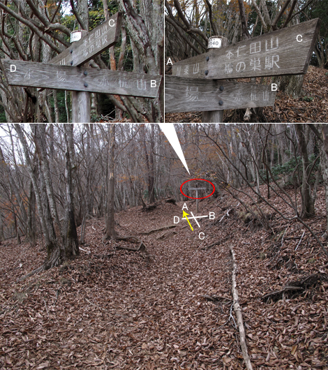 20151116hike (242)